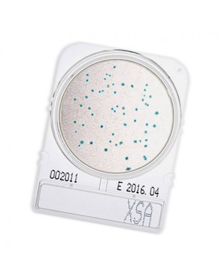 Микробиологическая среда Compact Dry XSA (Staphylococcus aureus) 40 пластин
