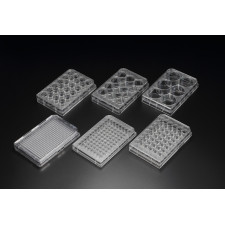 Планшет культуральний на 12 лунок, стер., PS (30012)