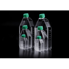 Флакон культуральный полистироловый SPL S роста 25 см² уп. 5 шт.