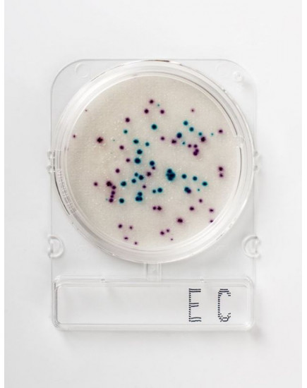 Микробиологическая среда Compact Dry EC (E.coli and coliforms) 40 пластин