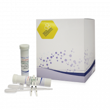 Тест-смужки для визначення CP4EPSPS в сої та ріпаку Eurofins Amar Immuno AID 04