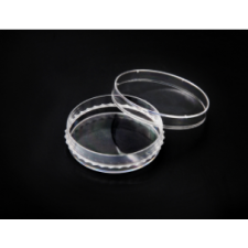 Чашка Петрі стерильна SPL 60х15 мм уп. 10 шт.
