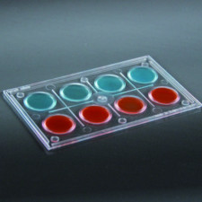 Планшет для колориметричних тестів на 8 лунок ПС Aptaca S.p.A. (10 штук в уп.) 13300