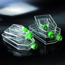 Флакон культуральный с фильтр-крышкой 25 см2 ПС стерильный Aptaca 10 штук в уп.