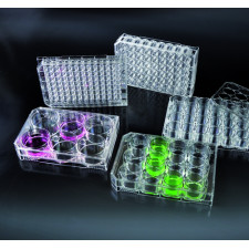 Планшет культуральний із зоною росту 3,8 см2 (12 лунок) стерильний Aptaca S.p.A 6012 уп. 50 шт.