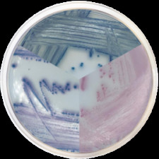 Среда хромогенная для E. Coli-Coliforms Conda 500 г 1340