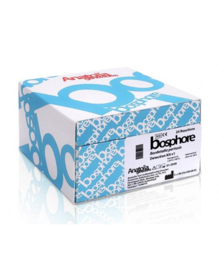 Набор Босфор для качественного определения Бокавируса в1