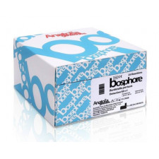 Босфор для количественного определения Гепатита В (HBV)